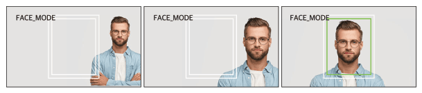 iCAM TD200 face capture process illustration